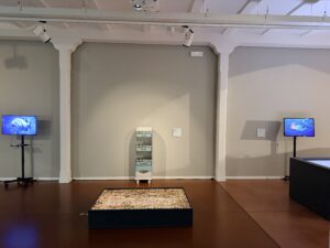 Simon Ostan Simone, Muto come un pesce, installazione Museo del Mare Caorle, arte contemporanea