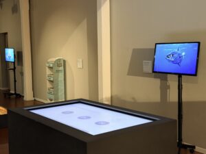 Simon Ostan Simone, Muto come un pesce, installazione Museo del Mare Caorle, arte contemporanea