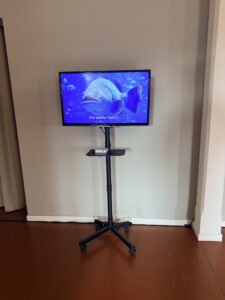 Simon Ostan Simone, Muto come un pesce, installazione Museo del Mare Caorle, arte contemporanea
